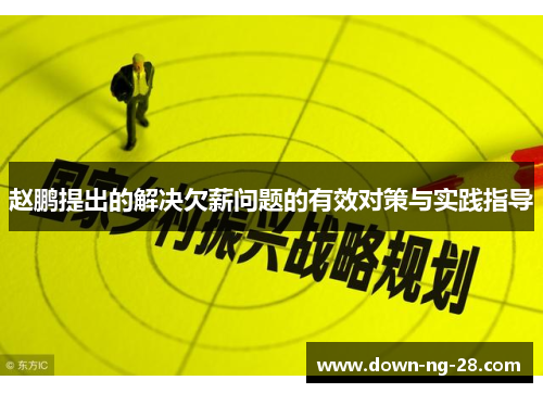 赵鹏提出的解决欠薪问题的有效对策与实践指导