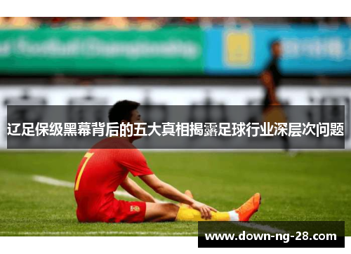辽足保级黑幕背后的五大真相揭露足球行业深层次问题 辽足保级黑幕背后的五大真相揭露足球行业深层次问题