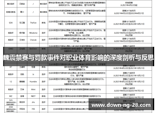 魏震禁赛与罚款事件对职业体育影响的深度剖析与反思