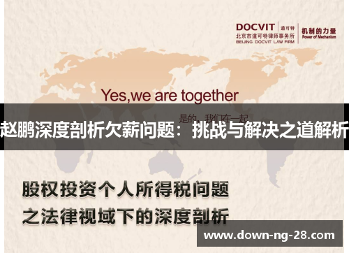 赵鹏深度剖析欠薪问题：挑战与解决之道解析