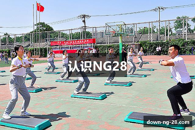 认识NG28